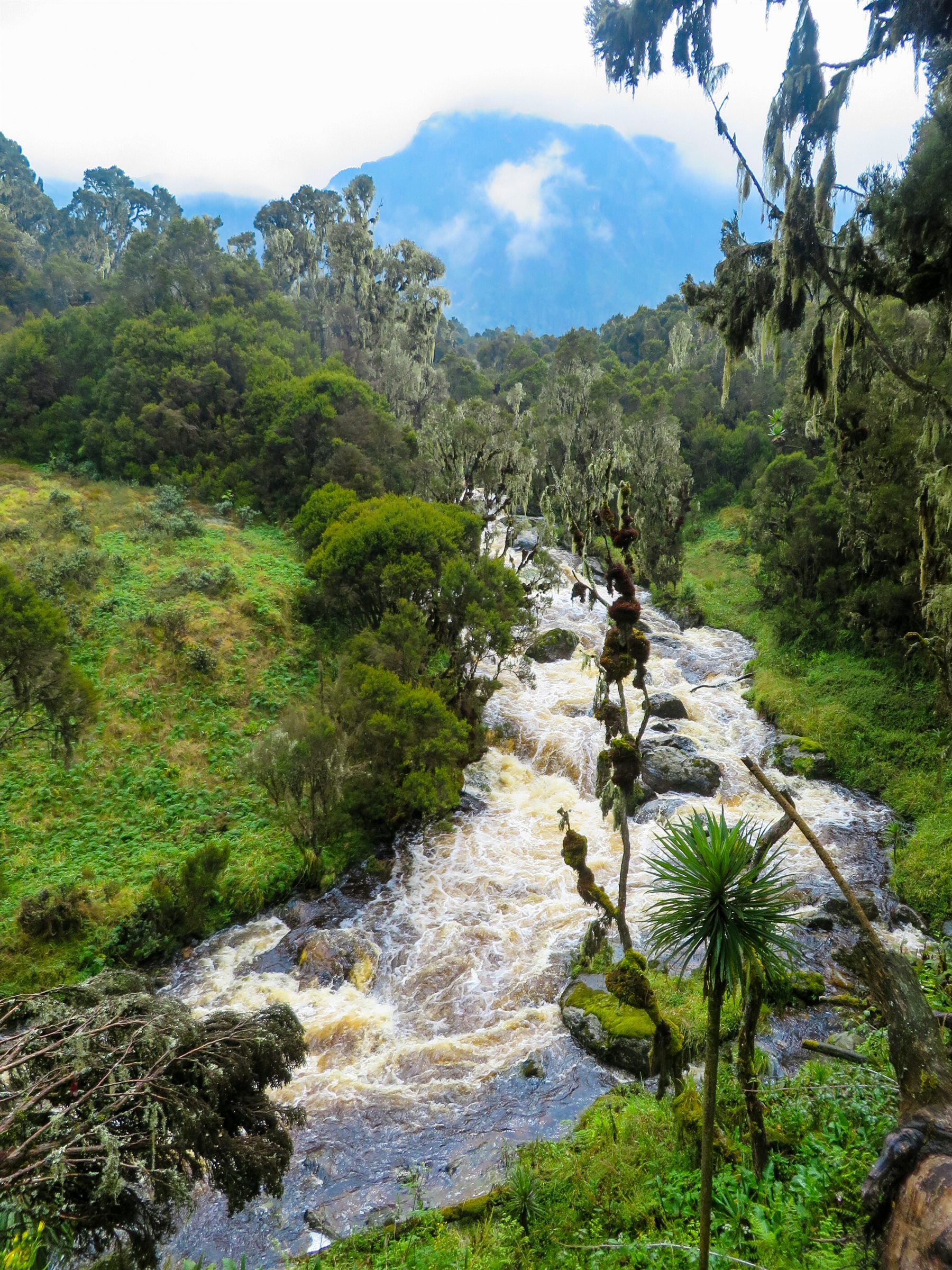 Environmental Sustainability and Integrated Catchment Management