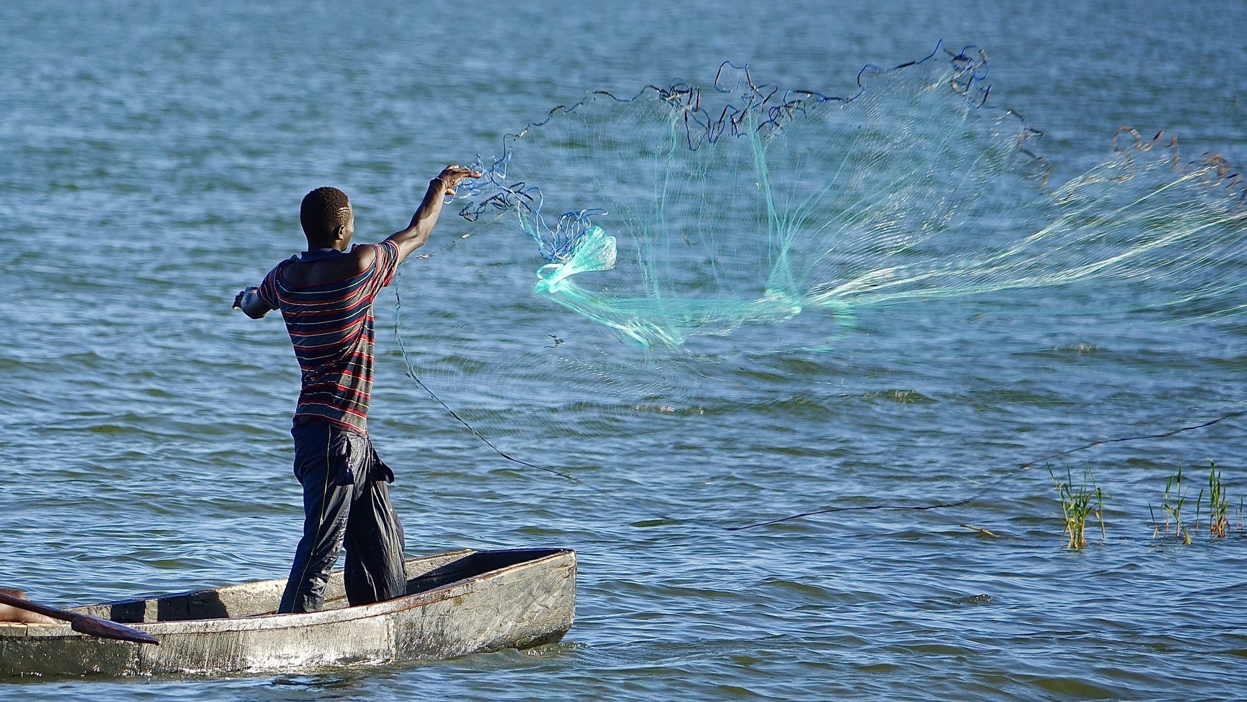 Fishing activity on a transboundary lake