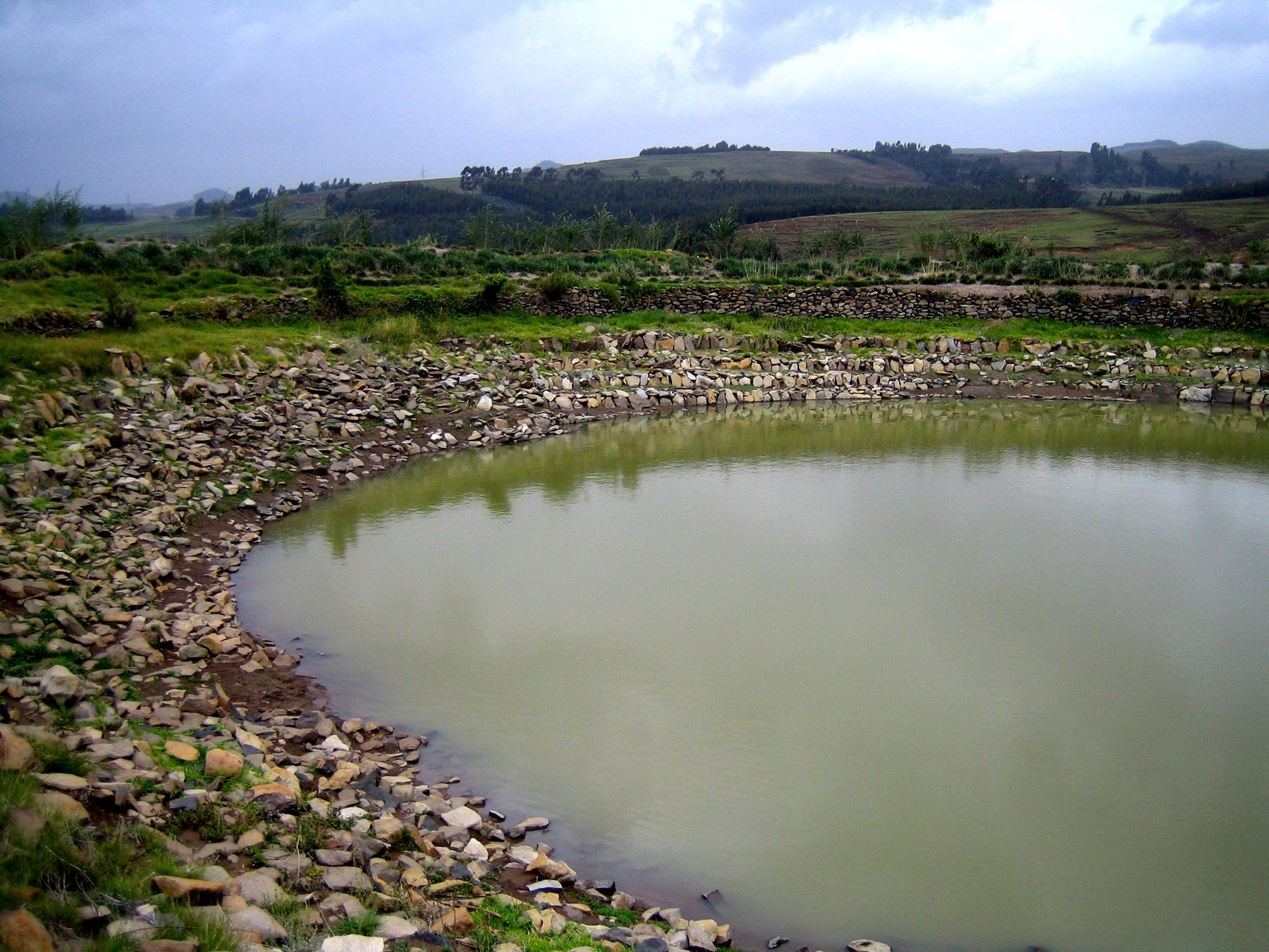 Watershed restoration pond and catchment landscape