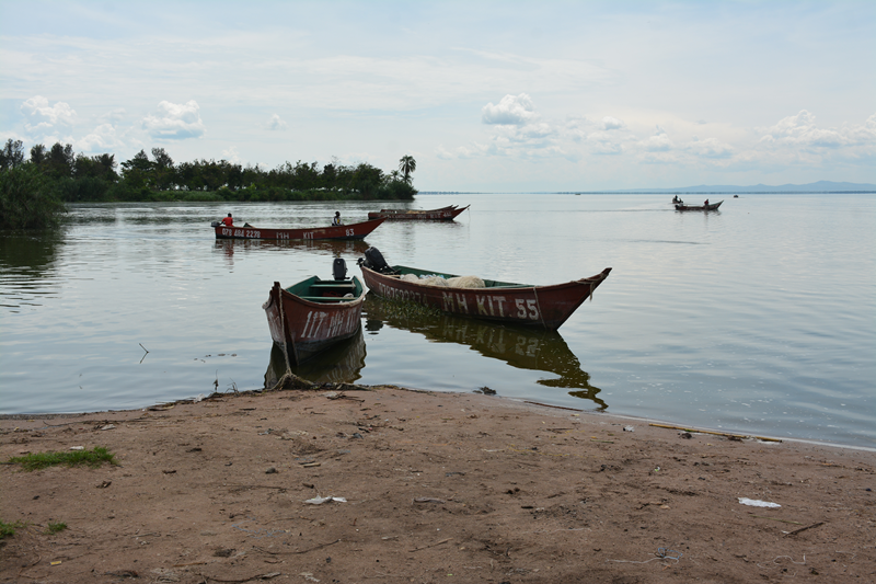 The standardized nets and boats at Lake George
