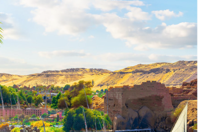 The Egypt  Investment Benefit from the Nile Basin Cooperation