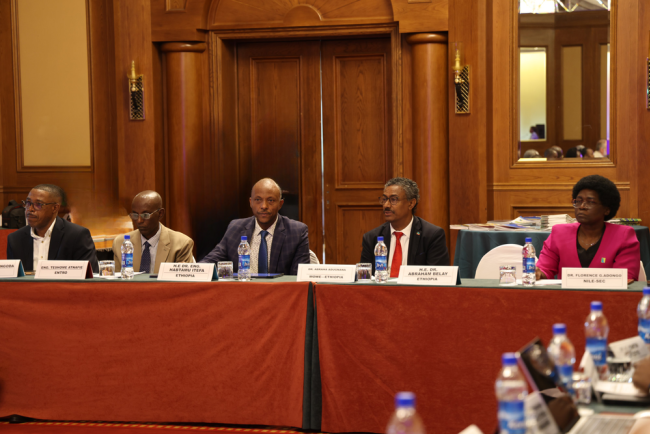 Stakeholders and Strategic Partners Consultation Workshop