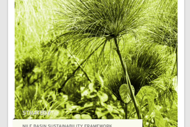 NBI Wetland Management Strategy(WMS) 2022