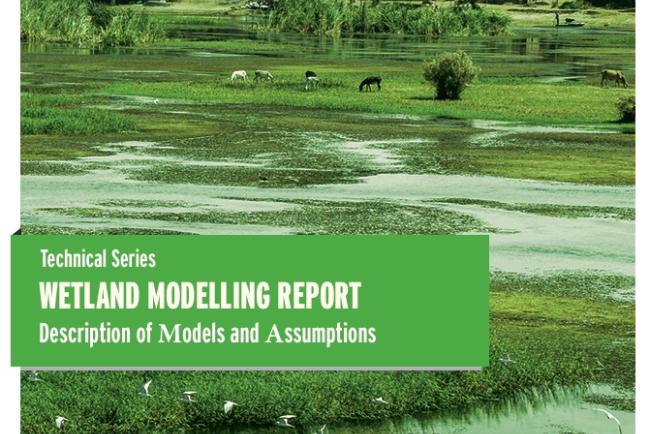 Wetland modelling report