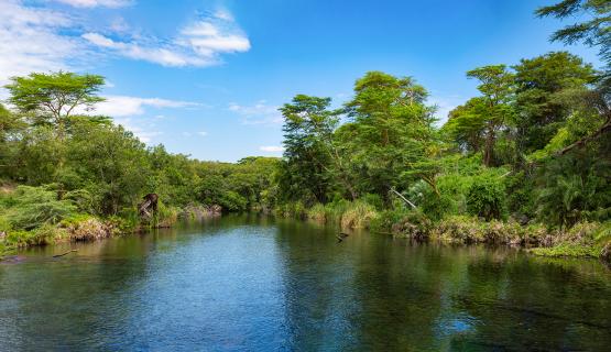 Update on the Nile Basin Initiative Programmes