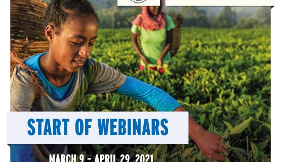 Start of Webinars Flyer