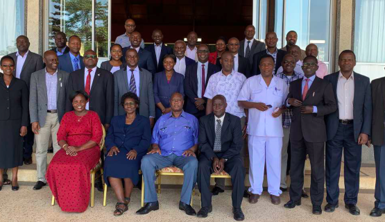 angololo project brief