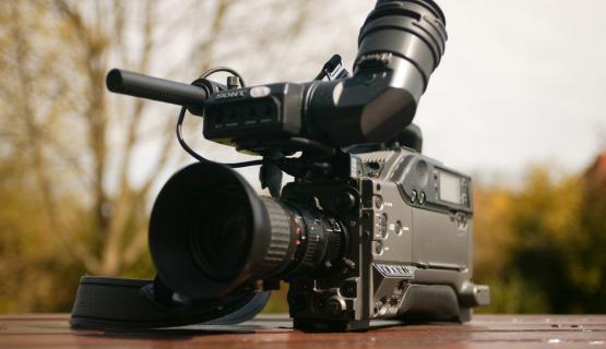 pexels-knelstrom-ltd-67654_0