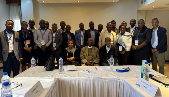 Working group on hydrology