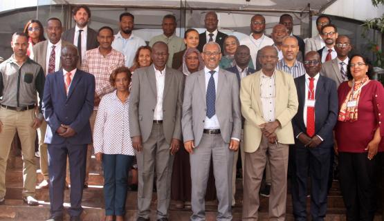 Meeting Participants 